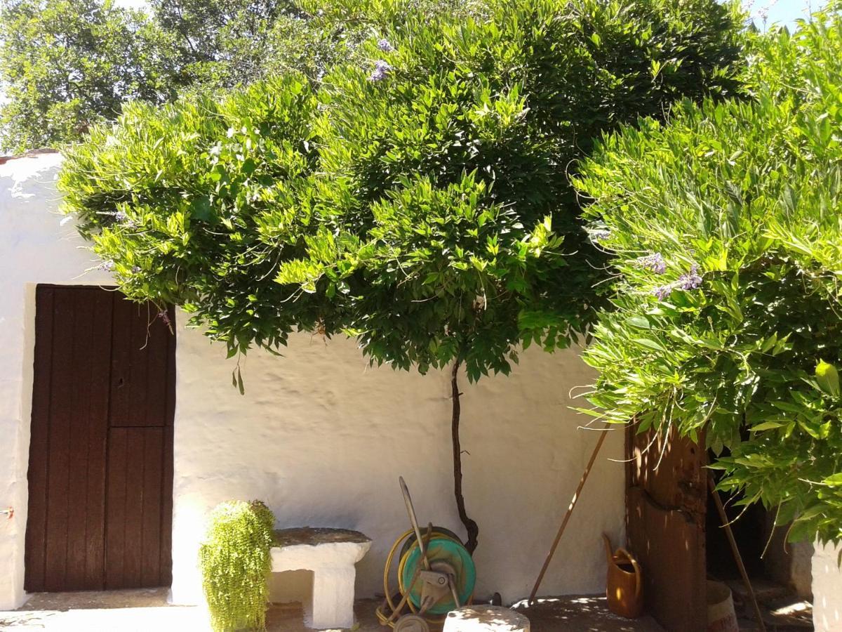 B&B Bell'Aria Monopoli Exterior photo
