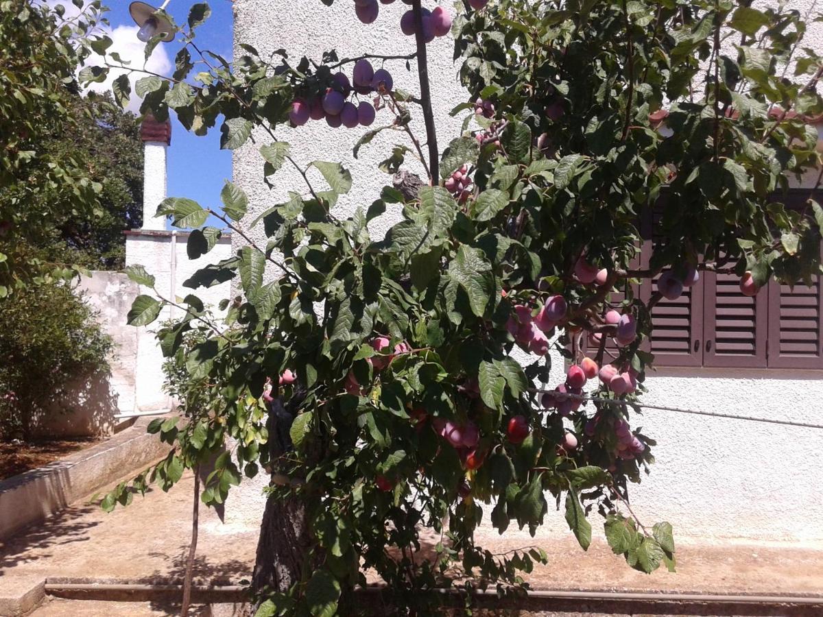 B&B Bell'Aria Monopoli Exterior photo