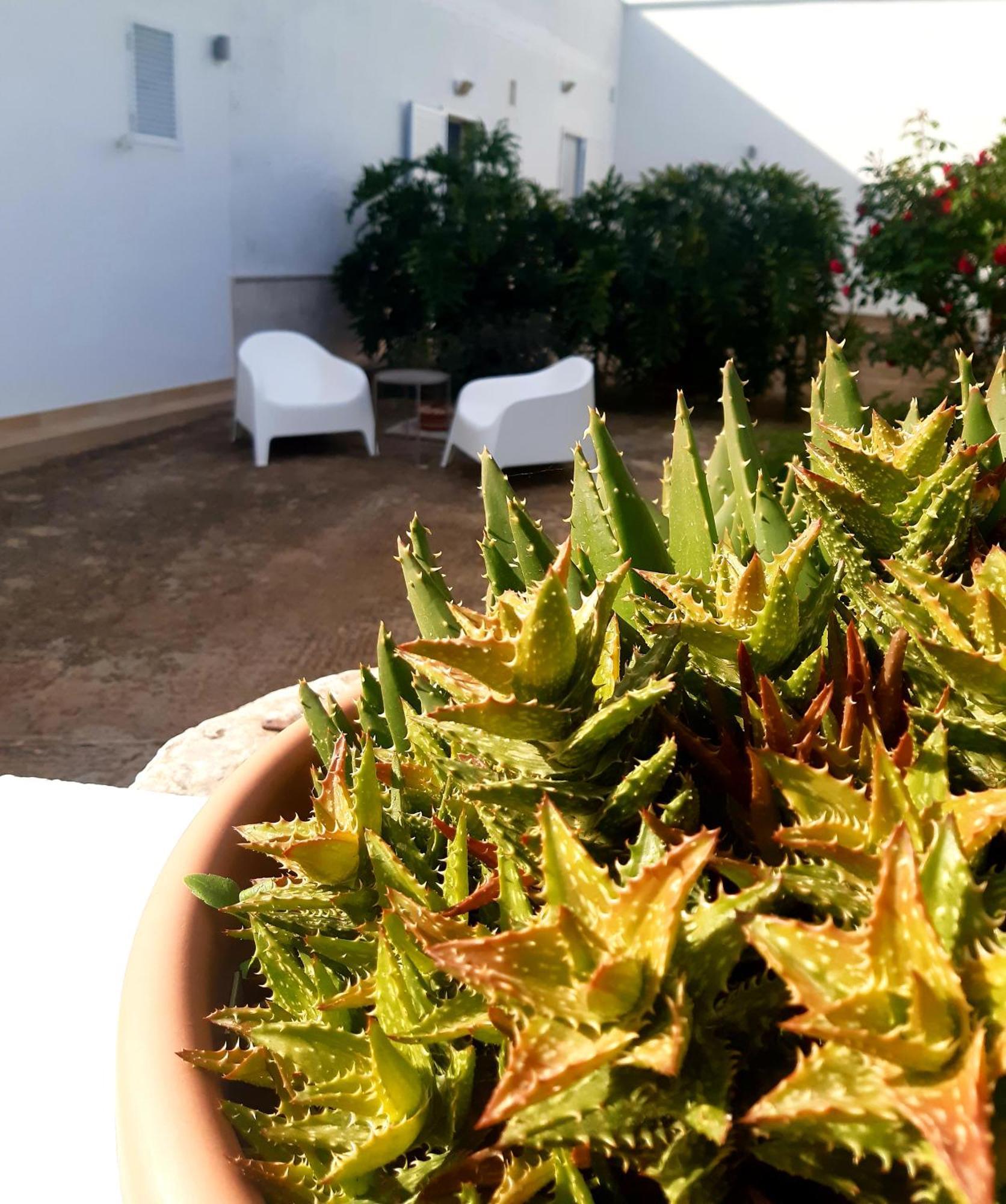 B&B Bell'Aria Monopoli Exterior photo